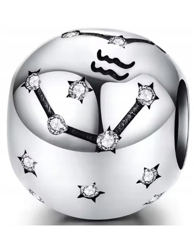 Charms znak zodiaku Wodnik...